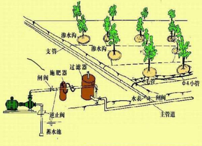 水肥一体化
