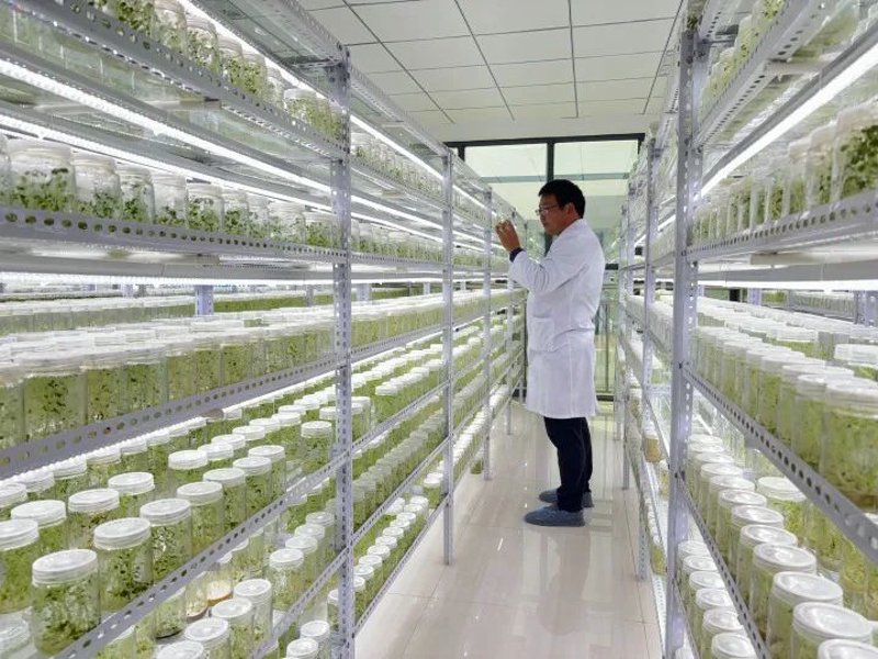农业物联网选购指南：让智慧农业引领未来趋势