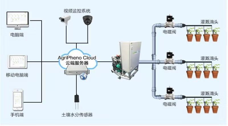 水肥一体化技术在现代农业中的应用与展望